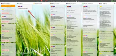 Управление задачами. Карточка задачи.